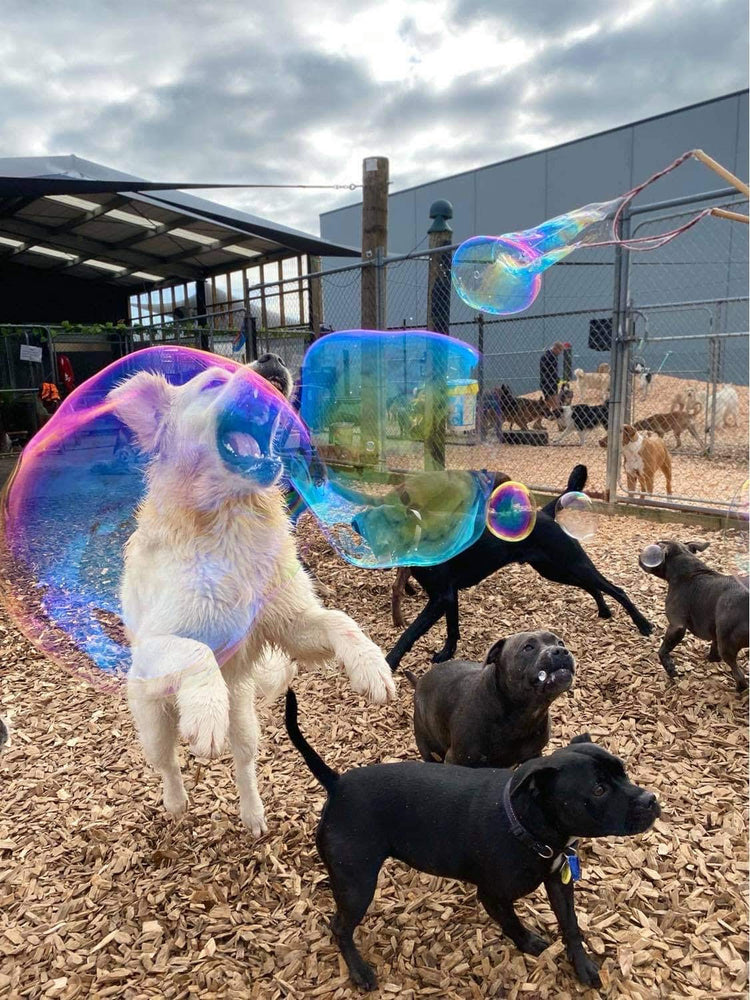 Giant Bubbles for Dogs - Your Dog Will Love Them - Giant Bubbles by Tinka - Tinka Giant Bubbles