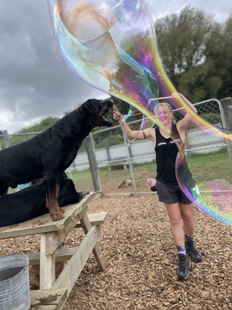Giant Bubbles for Dogs - Your Dog Will Love Them - Giant Bubbles by Tinka - Tinka Giant Bubbles